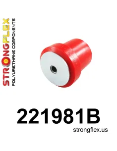 221981B: Rear beam bush