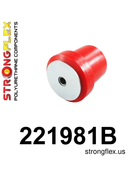 221981B: Rear beam bush