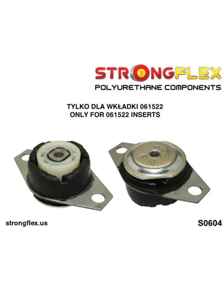 061522A: Motor mount inserts SPORT