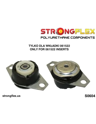 061522B: Motor mount inserts