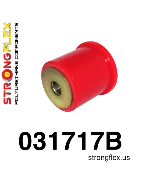 031717B: Rear diff mount - front bush