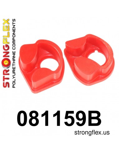 081159B: Engine mount inserts front