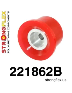 221862B: Rear diff mount - front bush
