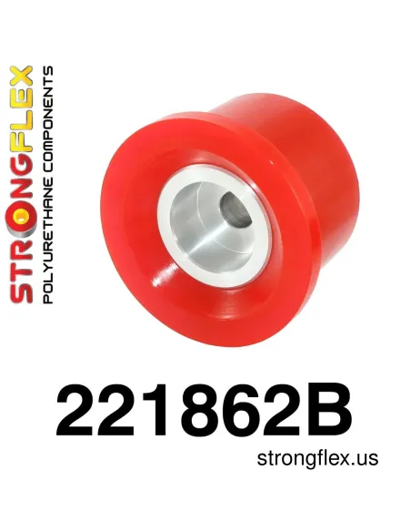 221862B: Rear diff mount - front bush
