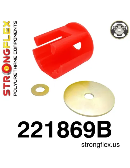 221869B: Lower engine mount insert