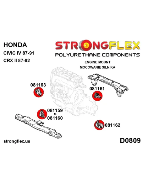 081160B: Engine mount inserts front