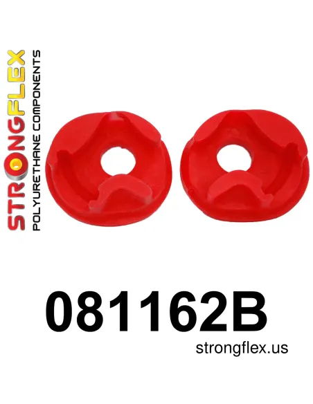 081162B: Engine mount inserts left side