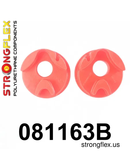 081163B: Engine mount inserts right side