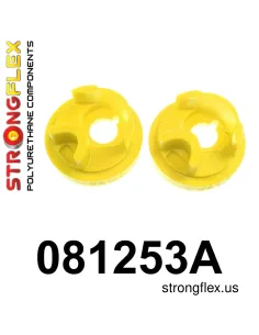 081253A: Gearbox insert mount SPORT