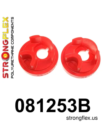 081253B: Gearbox insert mount