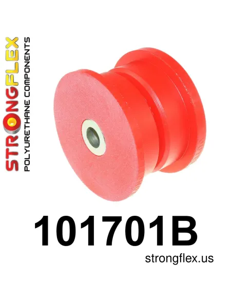 101701B: Rear differential bush