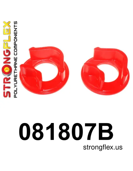 081807B: Engine mount insert – rear