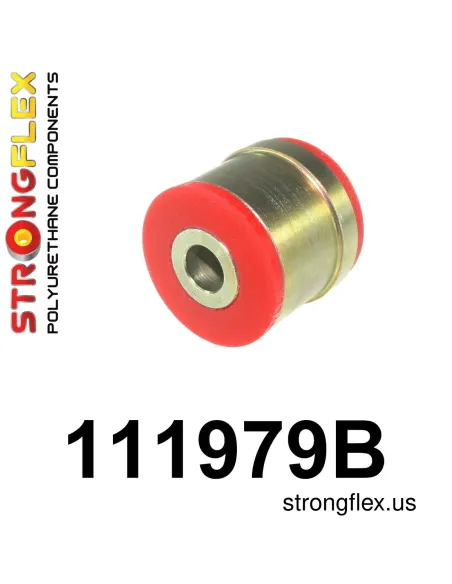 111979B: Rear control arm - inner bush