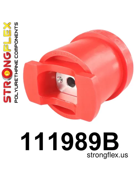 111989B: Front crossmember – front bush