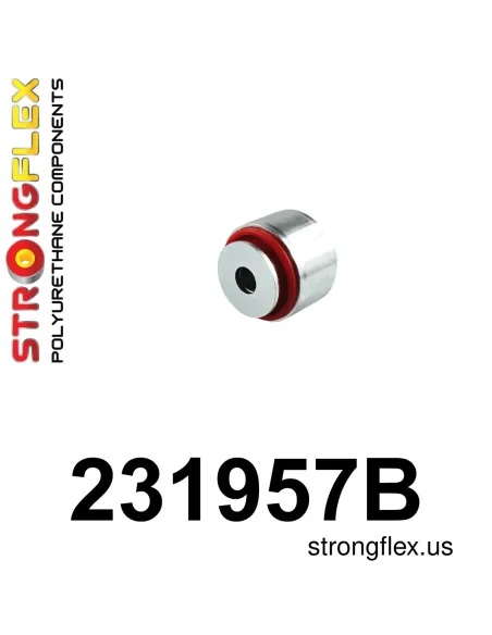 231957B: Front lower arm – rear bush