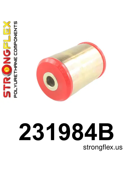 231984B: Rear axle bush